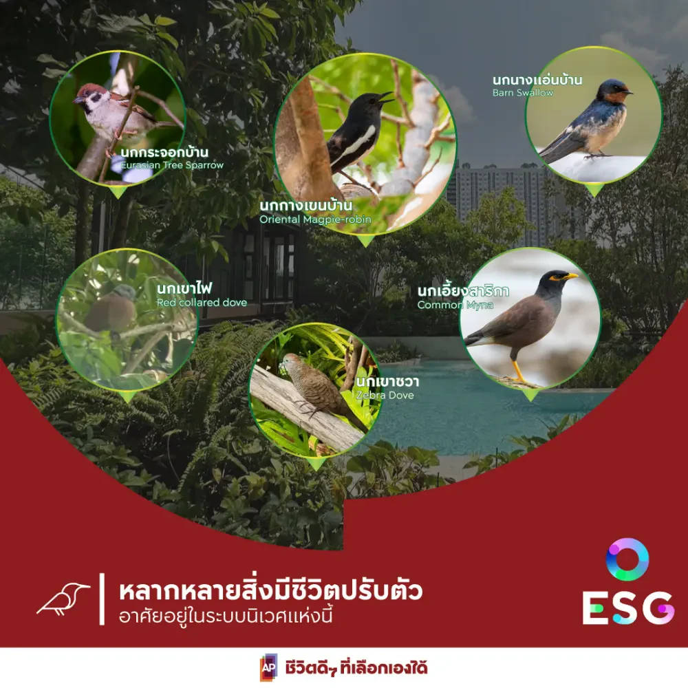 ฮีลใจ ไปกับ Life Sathorn Sierra พื้นที่ของความหลากหลายทางชีวภาพ