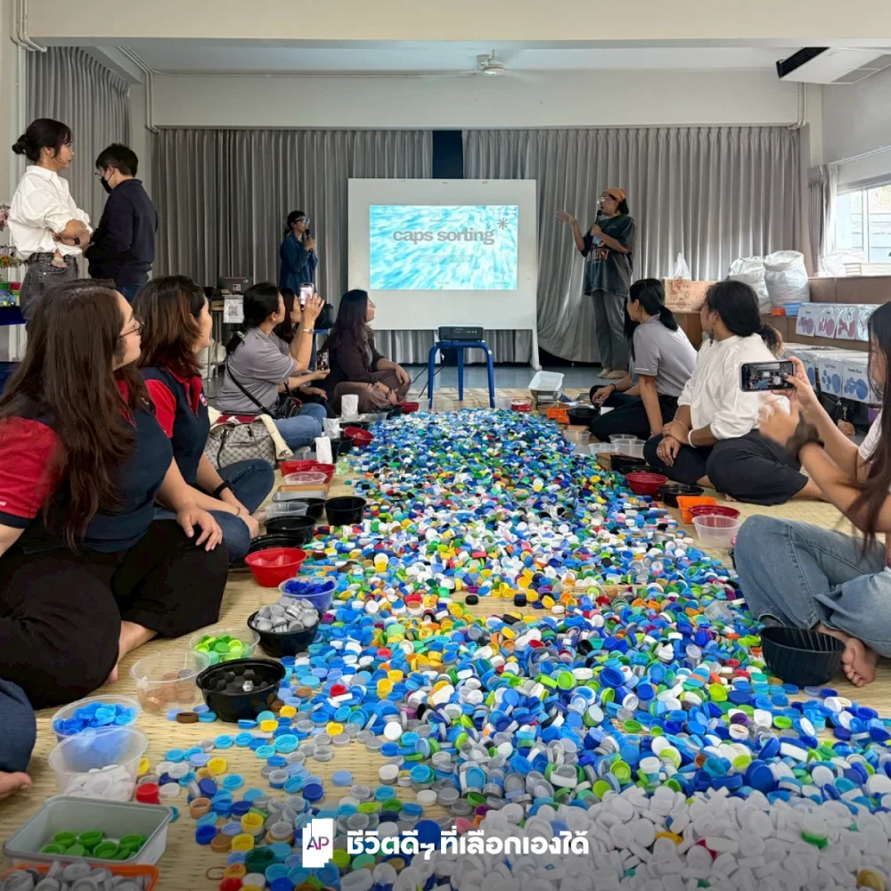 Empowering Change Through Small, Consistent Actions