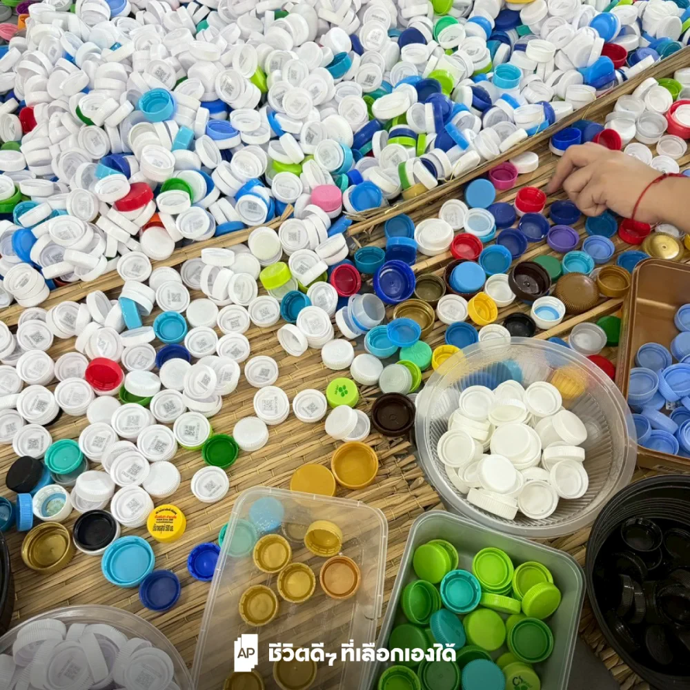 Empowering Change Through Small, Consistent Actions