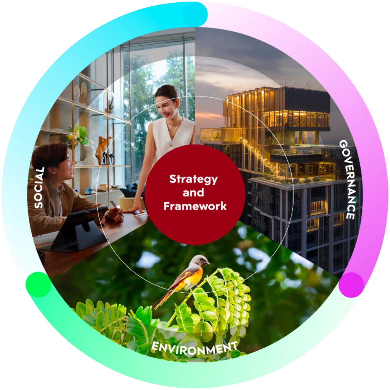 Strategy and Framework